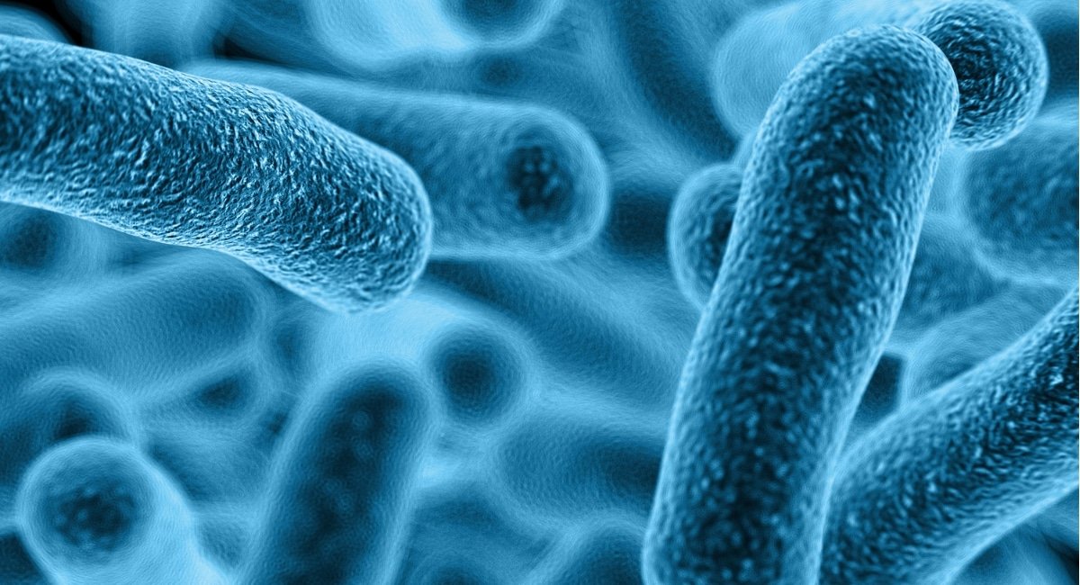 Scientists may have found a new weapon to combat superbugs