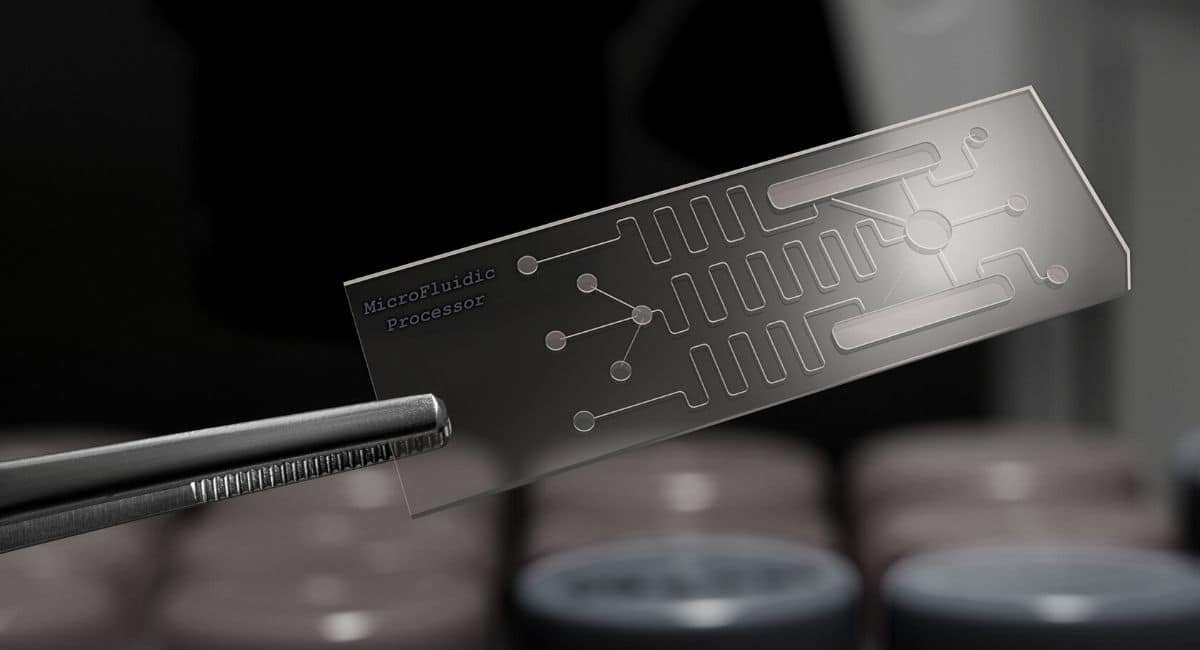 Human body-on-chip could overcome current limitations of drug testing