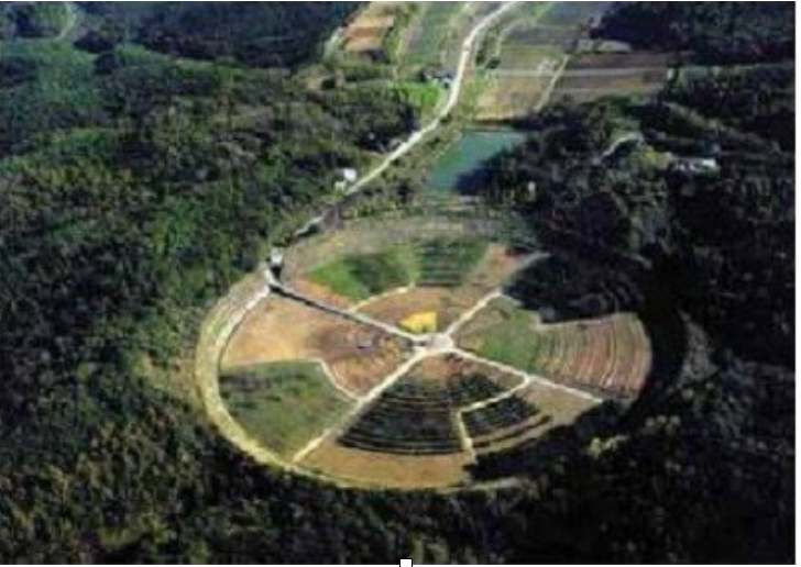 Figure 1: Field for irradiative mutagenesis at Casaccia, near Rome, Italy.