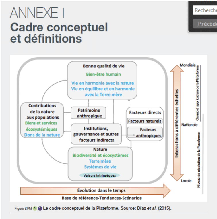 Figure - Le cadre conceptuel de la plateforme  IPBES dans lequel les références mystiques à la nature sont affichées au cœur de l’organigramme