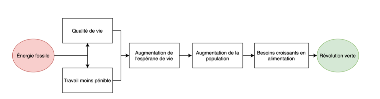 Figure 1 Étapes qui ont conduit à la nécessité de la révolution verte