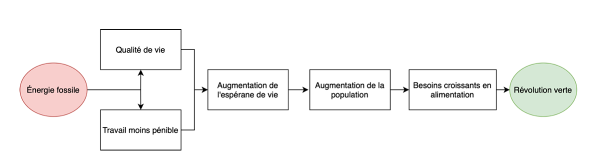 Figure 1 Étapes qui ont conduit à la nécessité de la révolution verte