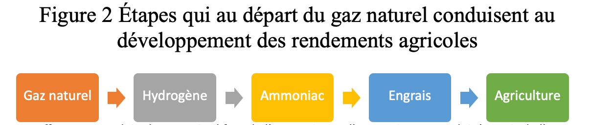 Figure 2 Étapes qui au départ du gaz naturel conduisent au développement des rendements agricoles