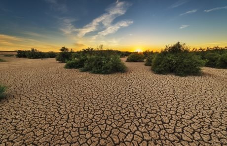 Flash droughts are becoming the “new normal”