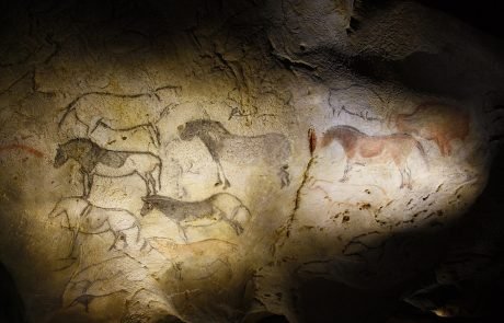 La domestication du cheval : une révolution génétique et historique