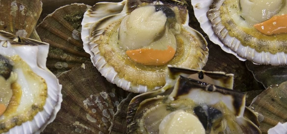 La guerre de la Coquille Saint-Jacques oppose les pêcheurs français et anglais