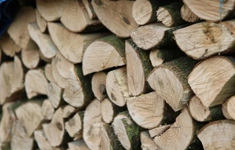 Le bois, une énergie renouvelable comme une autre ?