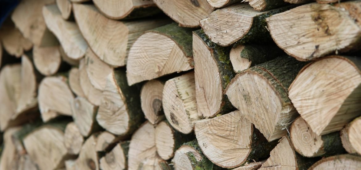 Le bois, une énergie renouvelable comme une autre ?