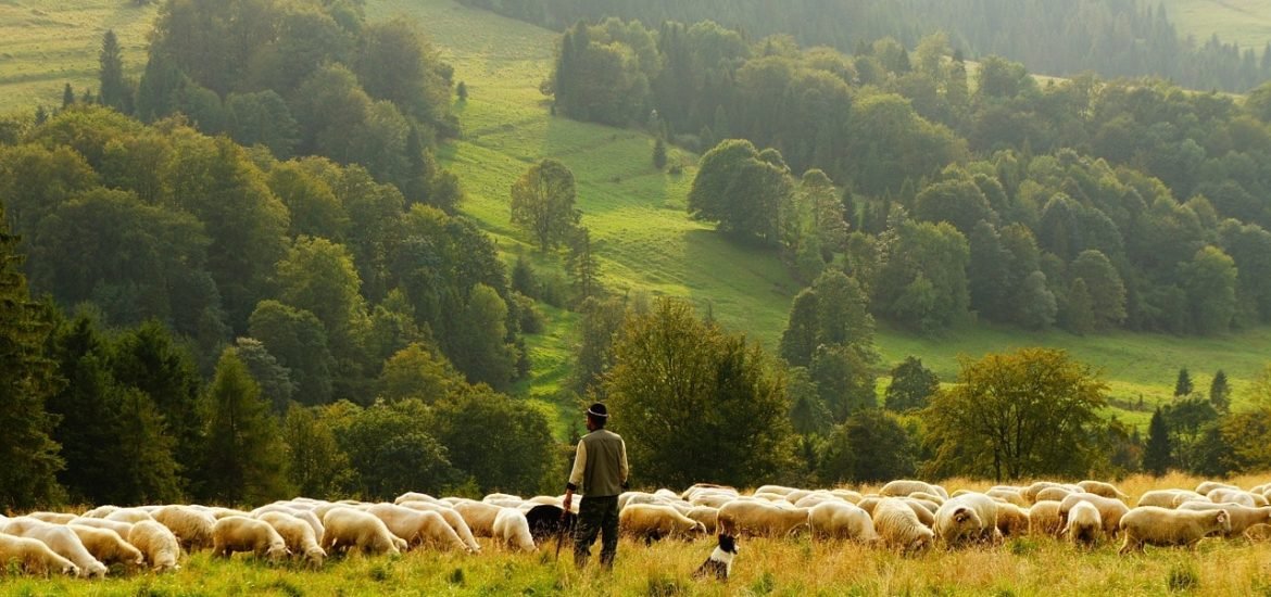 Agribashing : procès contre les agriculteurs ou crime contre l’humanité ?