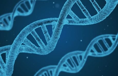 Des chercheurs ont identifié de nouveaux gènes jouant un rôle dans le trouble bipolaire