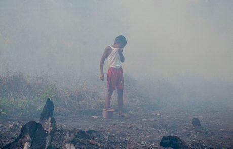 Pursuing palm oil companies isn’t enough: the paper industry is complicit in Southeast Asia’s haze crisis