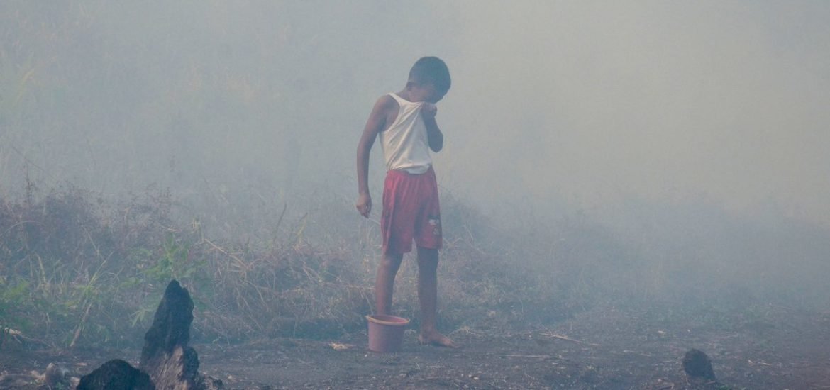 Pursuing palm oil companies isn’t enough: the paper industry is complicit in Southeast Asia’s haze crisis