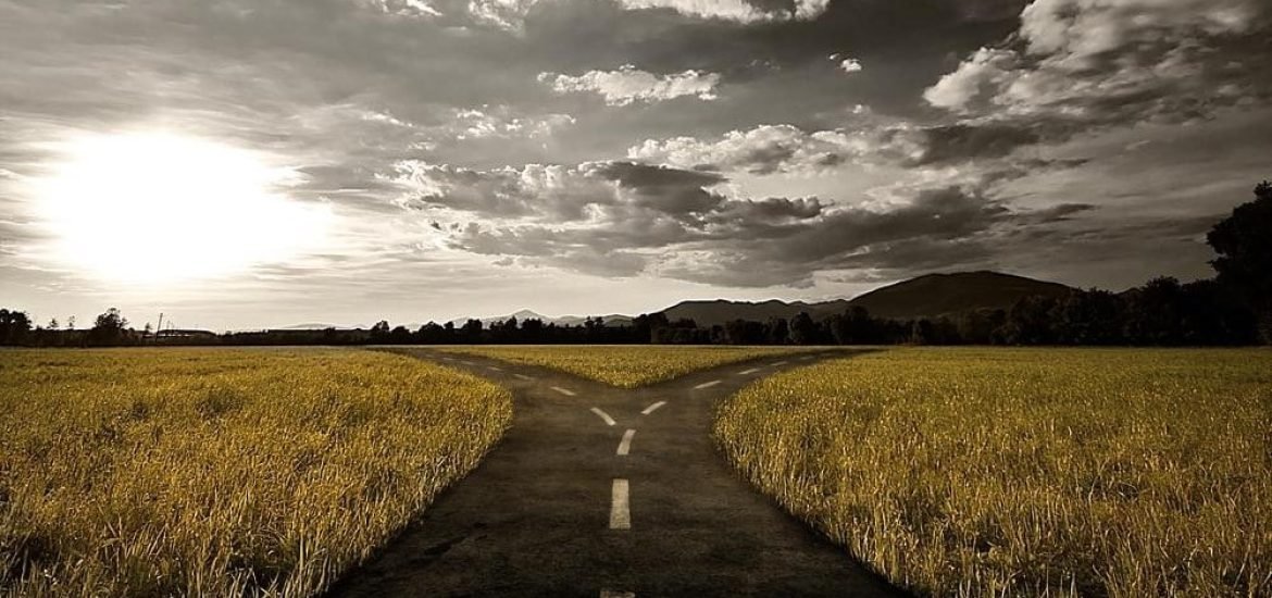 Attention aux utopies de l’écologie politique