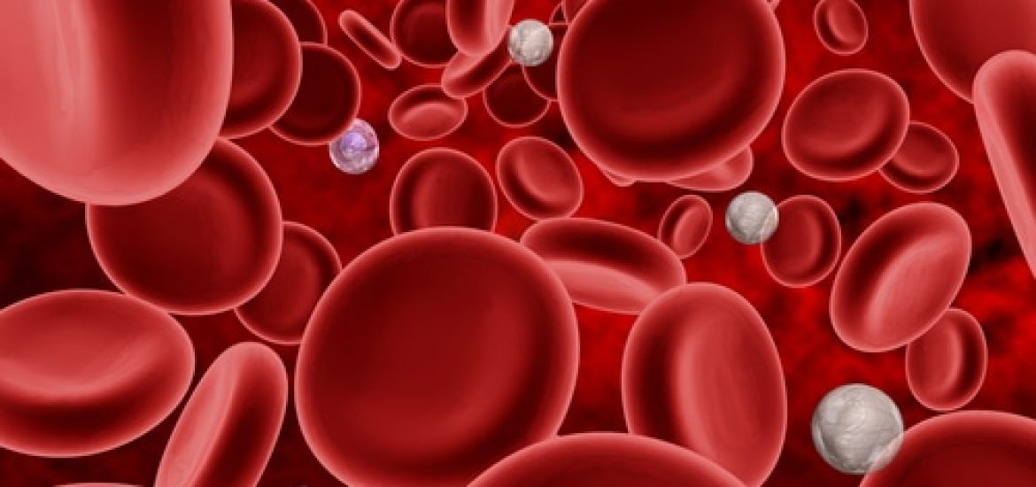 Des chercheurs découvrent des vaisseaux sanguins tueurs de cancer