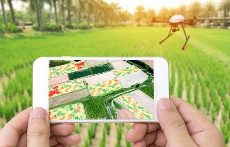 Digital agriculture: new tools for science on the farm