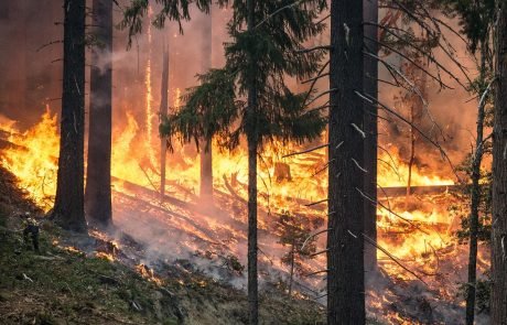 Un risque d’incendies accru en Europe