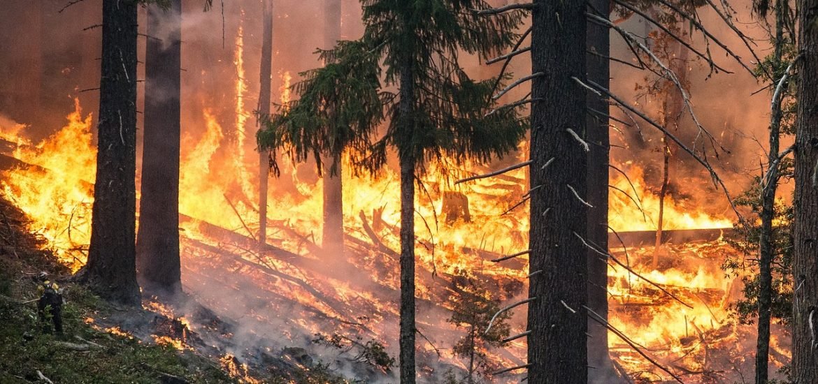 Un risque d’incendies accru en Europe