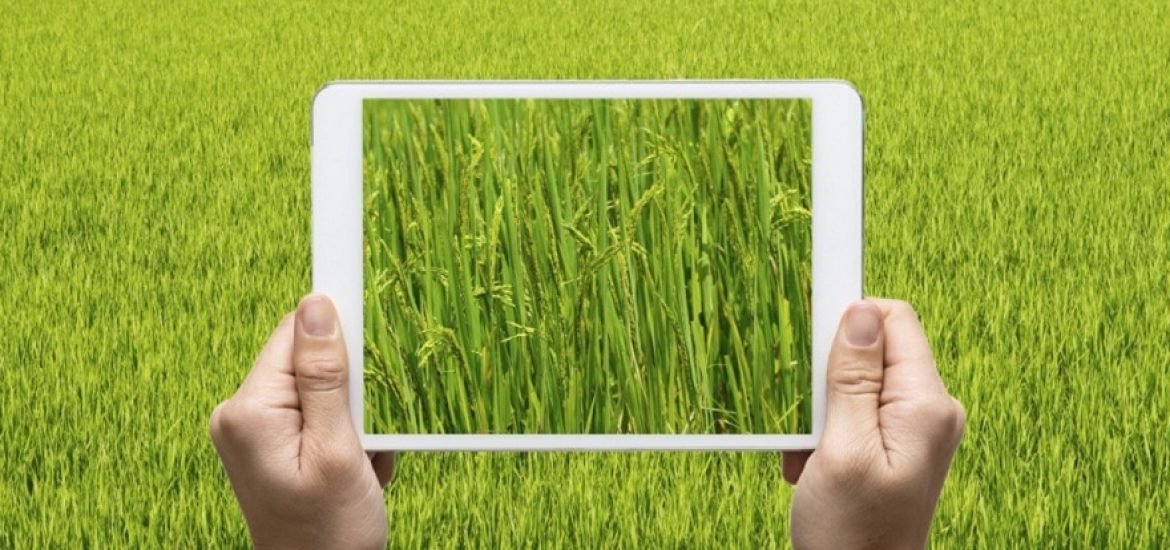 Vers une agriculture de décision grâce au numérique