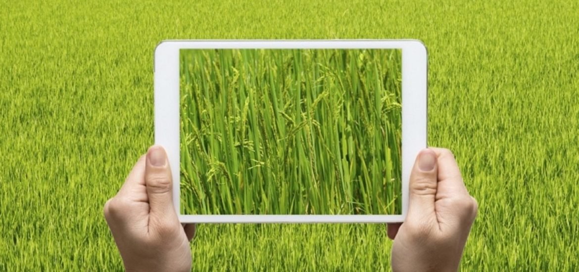 Vers une agriculture de décision grâce au numérique