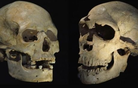 L’ancêtre commun de l’Homo sapiens et des Néandertaliens serait-il plus vieux que nous le pensions
