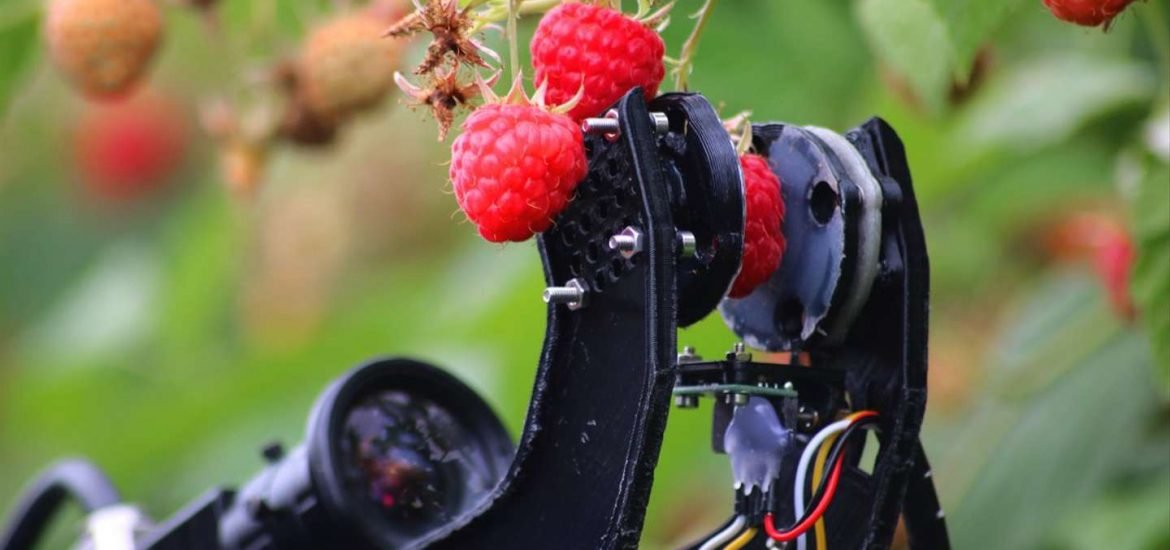 Robocrop, le robot cueilleur est-il annonciateur d’une révolution dans le travail les champs ?