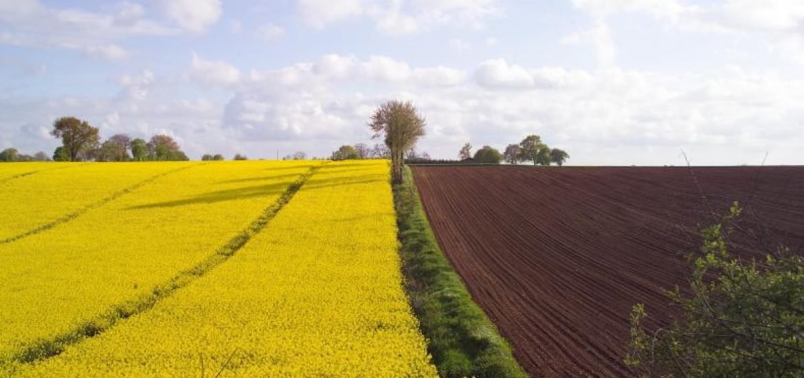 Le Parlement européen vote un nouveau règlement sur les matières fertilisantes