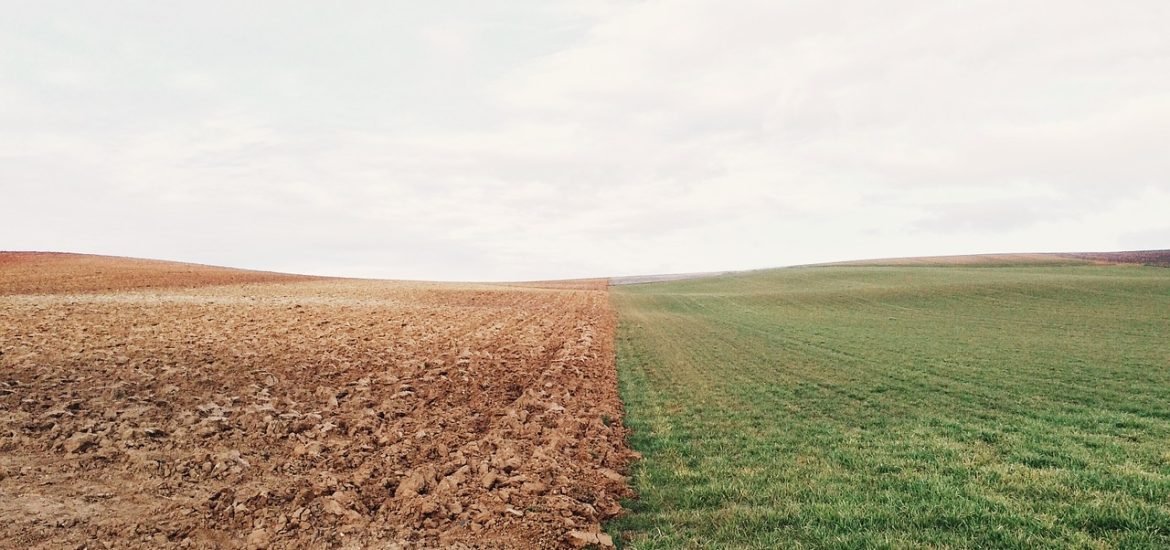Les enseignements encourageants du rapport mondial sur l’agriculture de précision