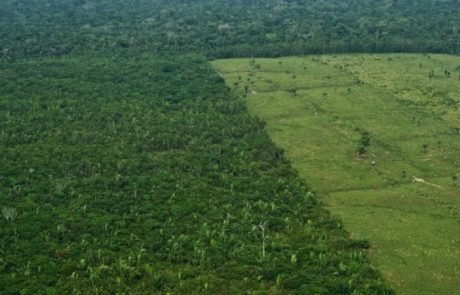 La Norvège bloque ses aides financières face à la déforestation grandissante au Brésil