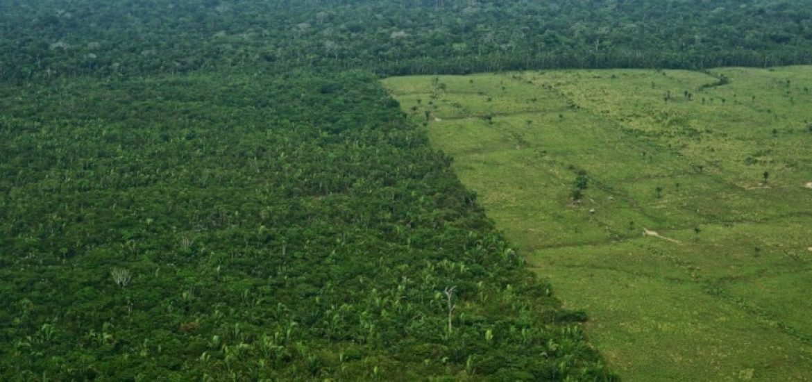 La Norvège bloque ses aides financières face à la déforestation grandissante au Brésil