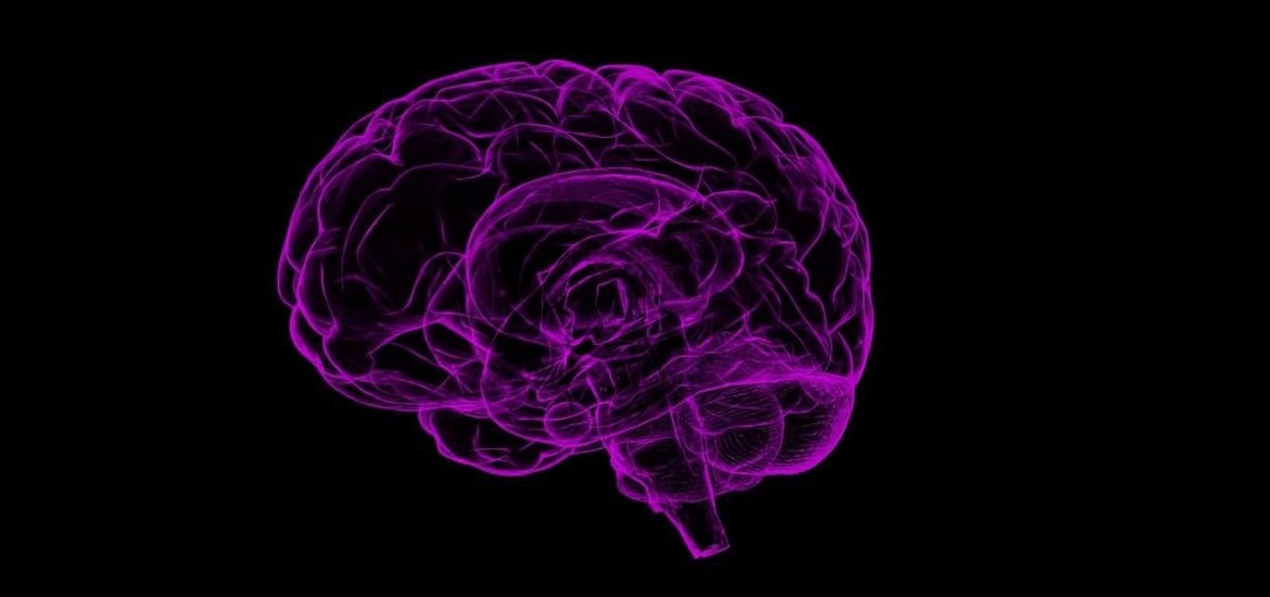 Des chercheurs suisses mettent en évidence le circuit cérébral de l’addiction