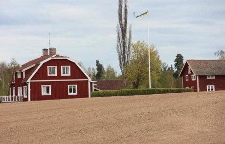 Die schwedische Landwirtschaft wird vom Menschen, nicht von der Natur zurückgehalten