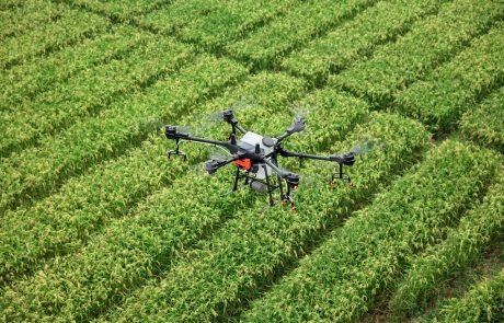 Les drones épandeurs de pesticides s’invitent dans les champs français
