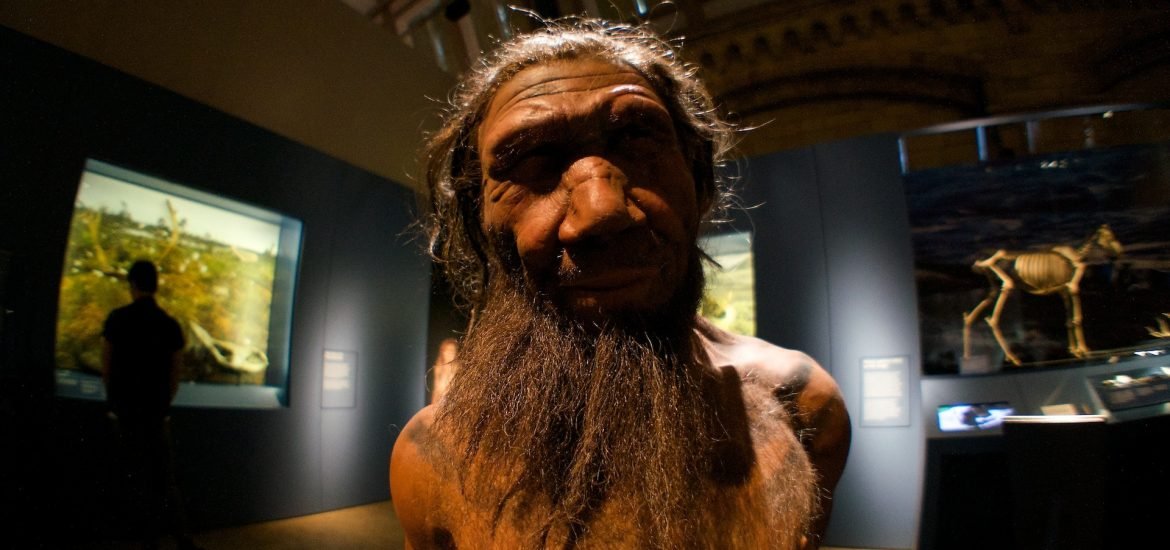 Scientists to grow mini Neanderthal brains