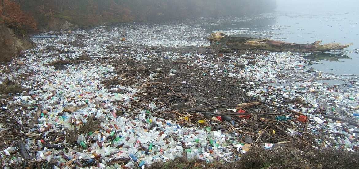 Tiny plastics can reach our brain