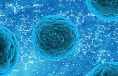Researchers build synthetic cells capable of living functions