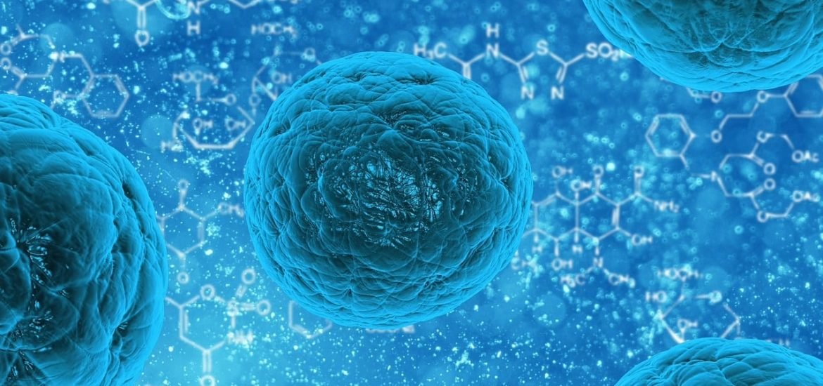 Researchers build synthetic cells capable of living functions