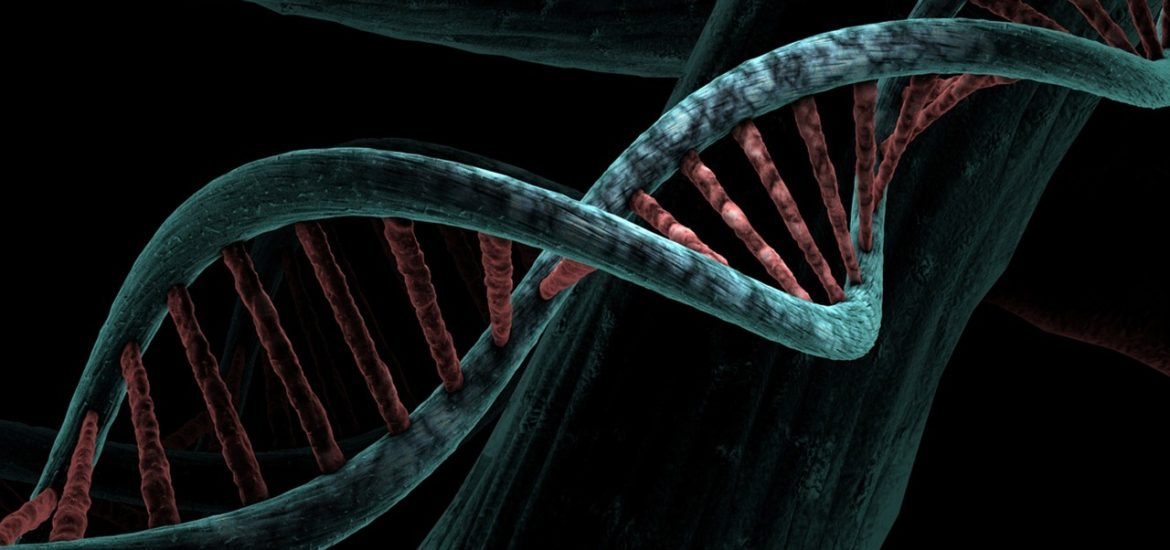 New scalable method for data storage in DNA