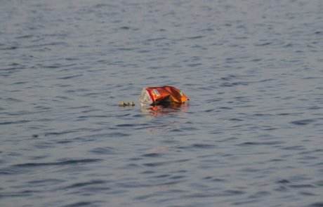 Some bacteria can digest plastic bags from lakes