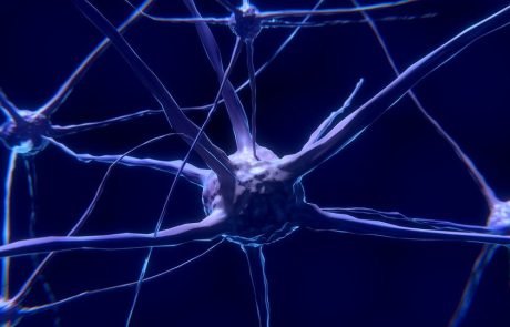 French researchers develop a prototype for an artificial neuron