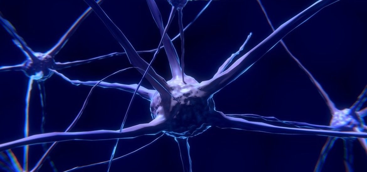 French researchers develop a prototype for an artificial neuron