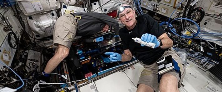 L’ESA teste un nouvel appareil d’exercice pour préserver la santé des astronautes en microgravité