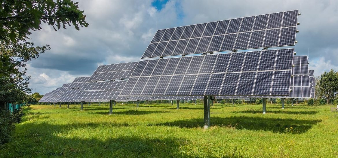 Nanoparticles that copy plant pigment could be used to build better solar panels in the future