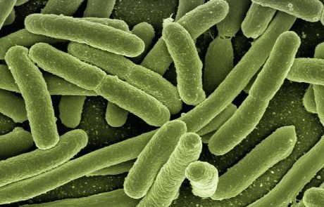 Killing superbugs: old antibiotic may be the answer