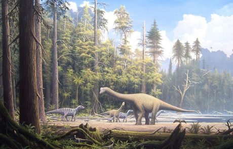 Les dinosaures seraient à la base du vieillissement chez les mammifères 