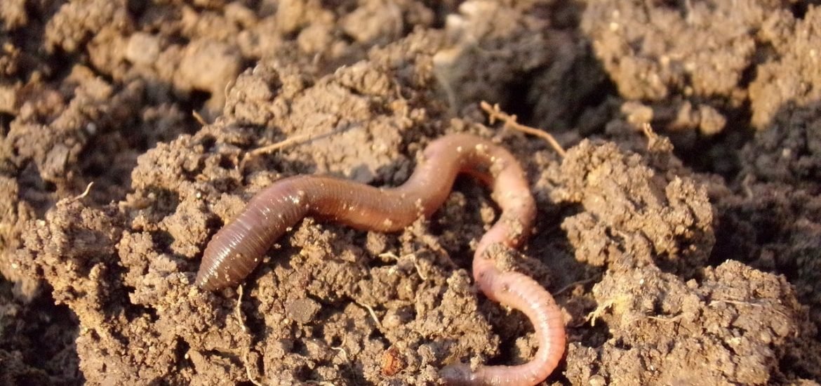 Hotspots for soil conservation don’t get the protection they need