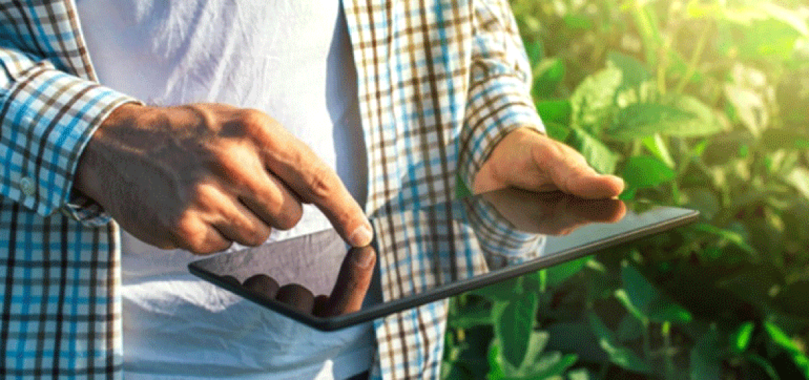 Les « AgriFood Tech start-ups » ont le vent en poupe !