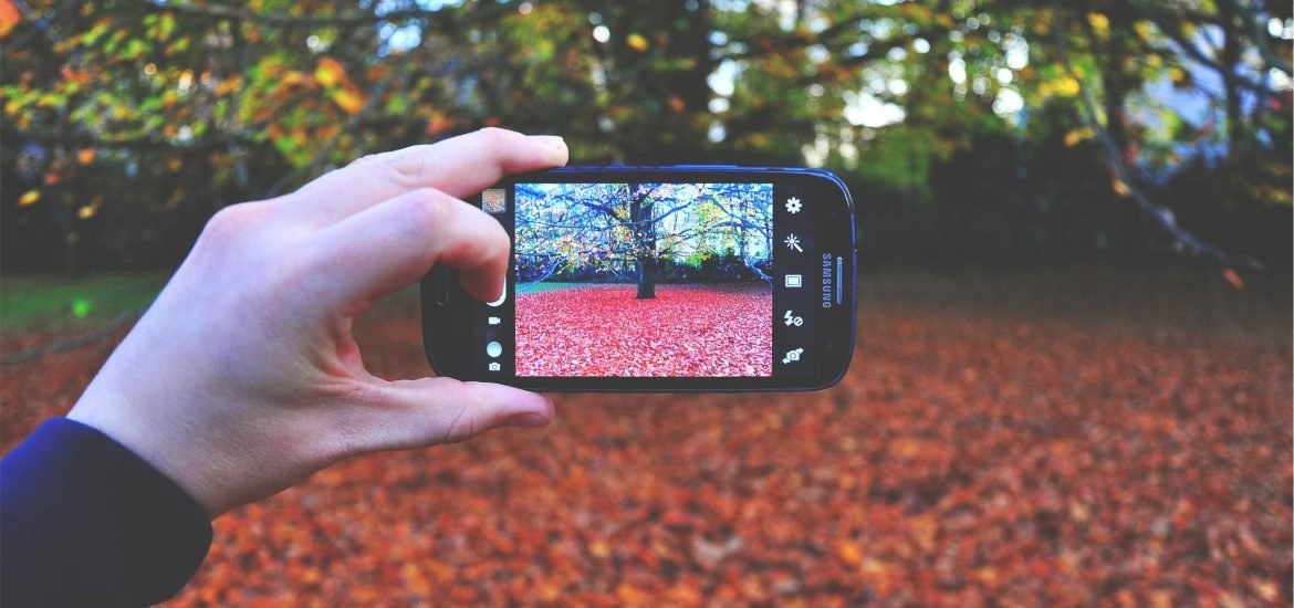 Spanish researchers use AI to detect diseases and pests in horticultural crops