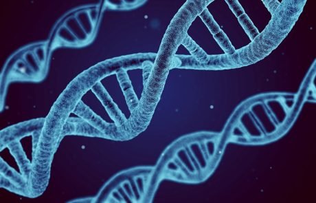 Recent study spurs debate over safety of CRISPR-Cas9 gene editing therapies