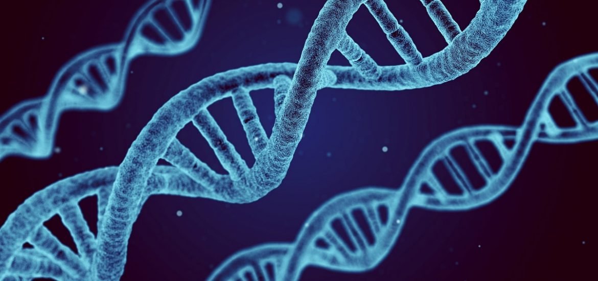 Recent study spurs debate over safety of CRISPR-Cas9 gene editing therapies