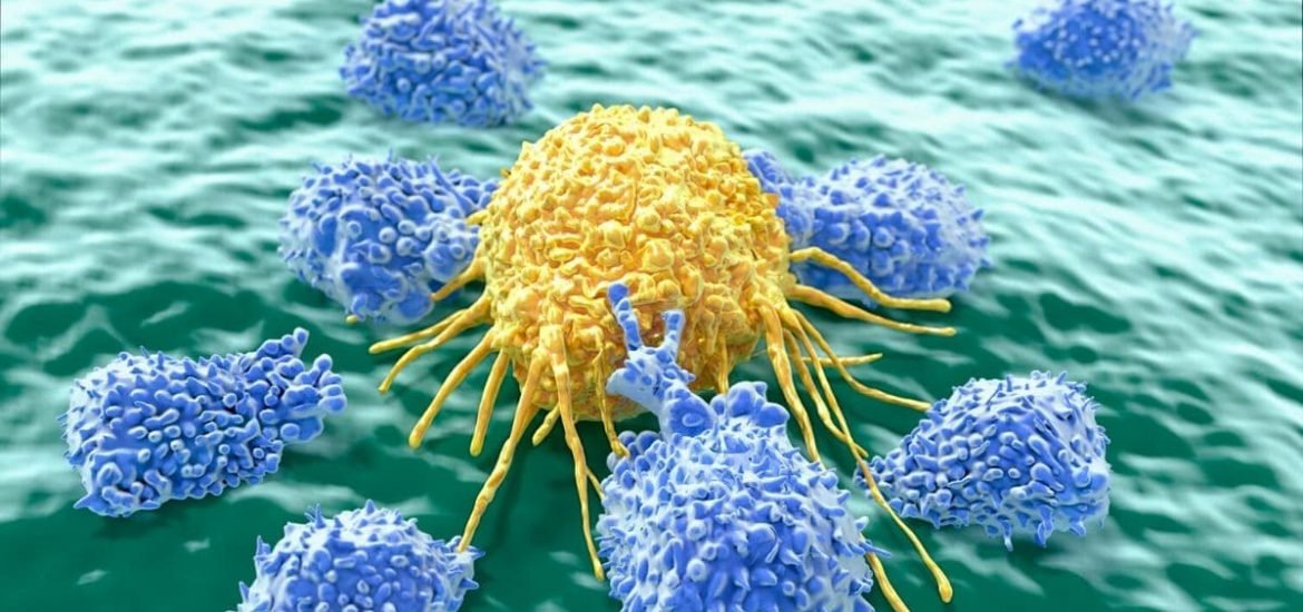 CRISPR-edited CAR T cells pass the safety test